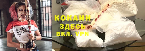 ГАЛЛЮЦИНОГЕННЫЕ ГРИБЫ Богданович