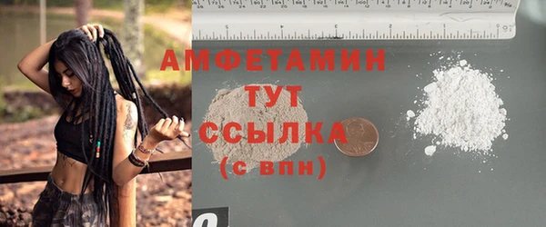 ГАЛЛЮЦИНОГЕННЫЕ ГРИБЫ Богданович