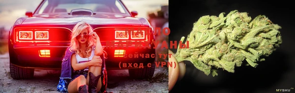 шишки Богородицк