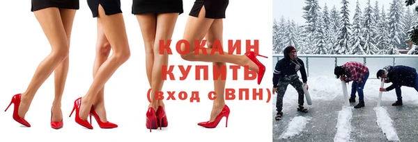 соль ск Богородск
