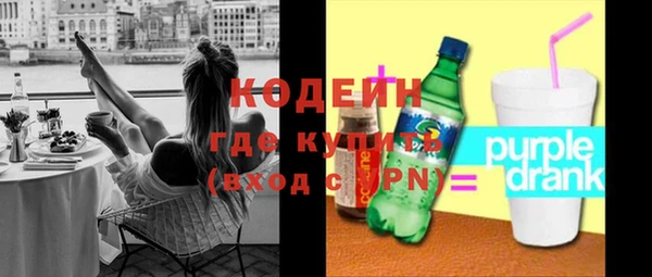 ГАЛЛЮЦИНОГЕННЫЕ ГРИБЫ Богданович