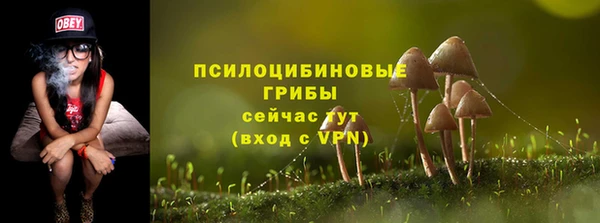 соль ск Богородск