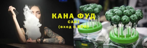 индика Беломорск