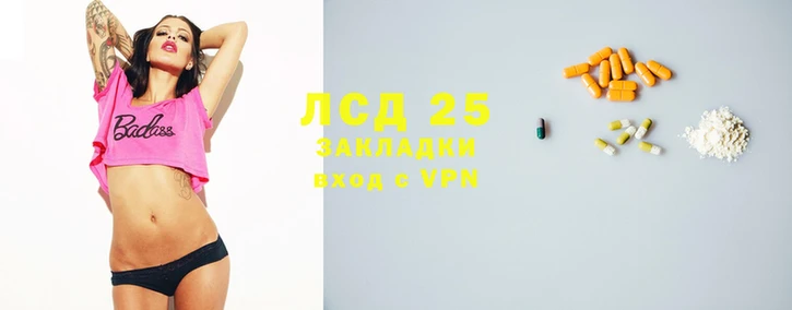 ГАЛЛЮЦИНОГЕННЫЕ ГРИБЫ Богданович