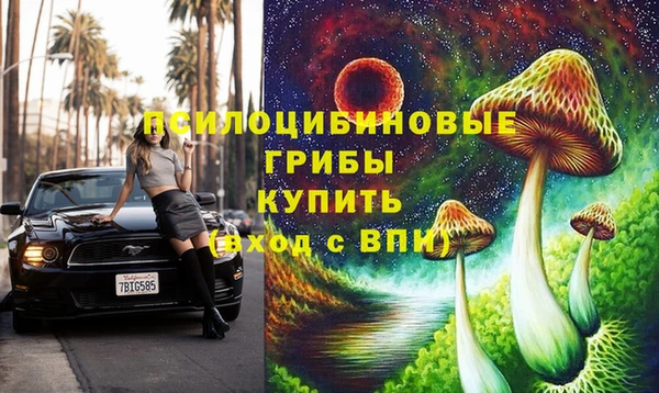 ГАЛЛЮЦИНОГЕННЫЕ ГРИБЫ Богданович