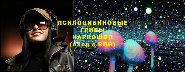 ГАЛЛЮЦИНОГЕННЫЕ ГРИБЫ Богданович