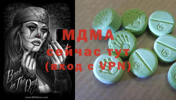 ГАЛЛЮЦИНОГЕННЫЕ ГРИБЫ Богданович