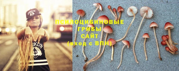 шишки Богородицк