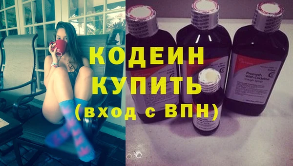 шишки Богородицк