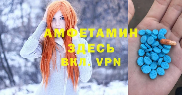 ГАЛЛЮЦИНОГЕННЫЕ ГРИБЫ Богданович