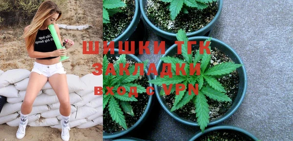 ГАЛЛЮЦИНОГЕННЫЕ ГРИБЫ Богданович