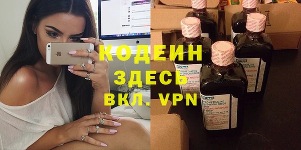 шишки Богородицк