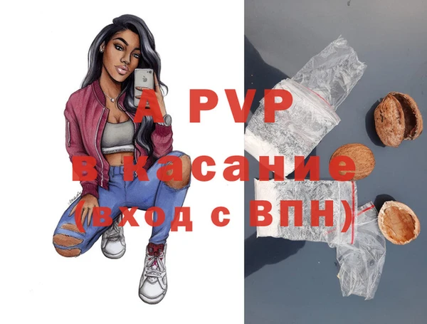 шишки Богородицк