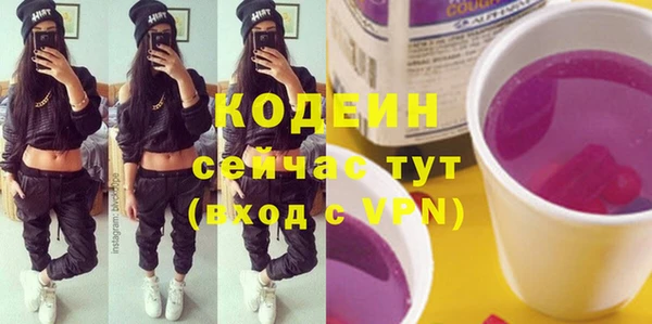 ГАЛЛЮЦИНОГЕННЫЕ ГРИБЫ Богданович