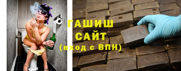 ГАЛЛЮЦИНОГЕННЫЕ ГРИБЫ Богданович