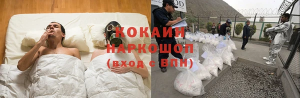 соль ск Богородск