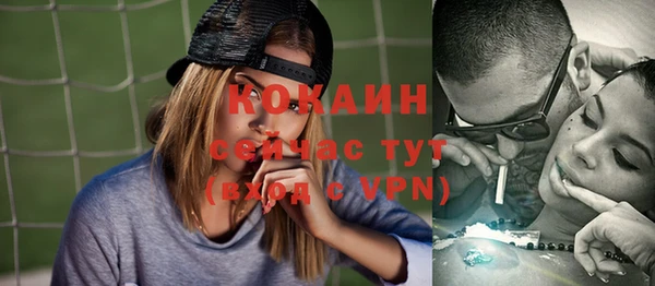 ГАЛЛЮЦИНОГЕННЫЕ ГРИБЫ Богданович