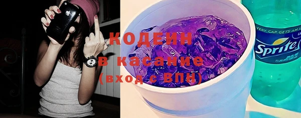 шишки Богородицк
