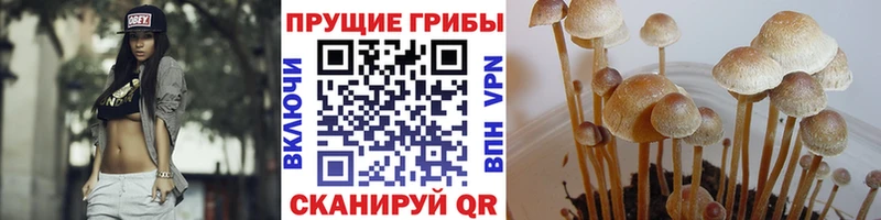 hydra tor  купить наркотики сайты  Наро-Фоминск  Галлюциногенные грибы MAGIC MUSHROOMS 